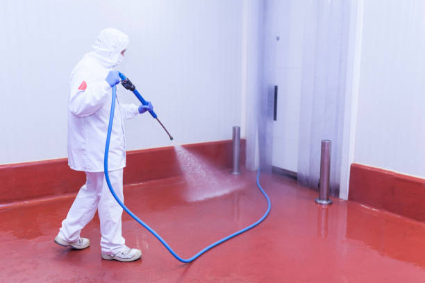 Boat and Dock Cleaning in East Rockaway, NY